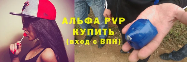 индика Кулебаки
