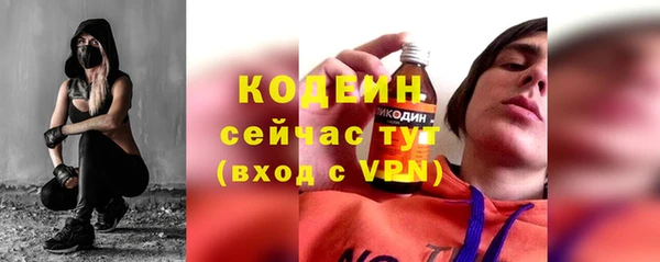 индика Кулебаки