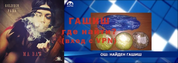 индика Кулебаки