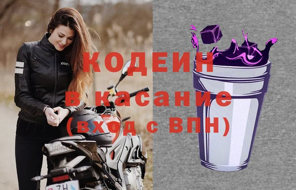 индика Кулебаки