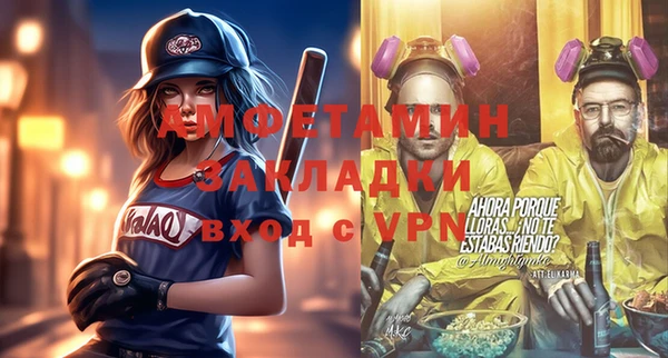 индика Кулебаки