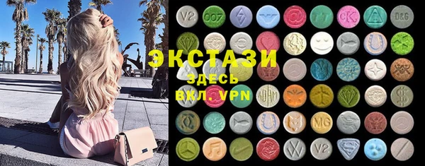 твердый Краснослободск