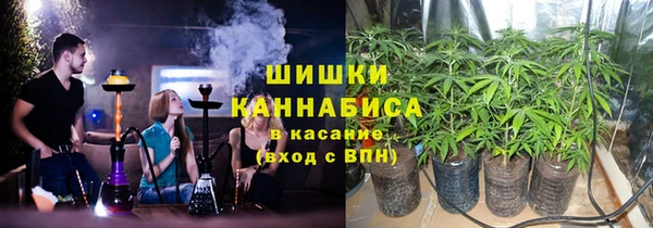 индика Кулебаки