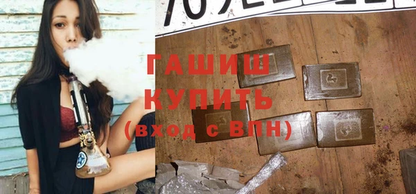 индика Кулебаки