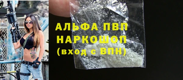 индика Кулебаки