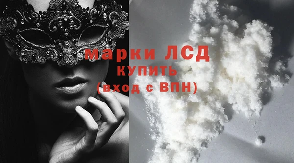 индика Кулебаки