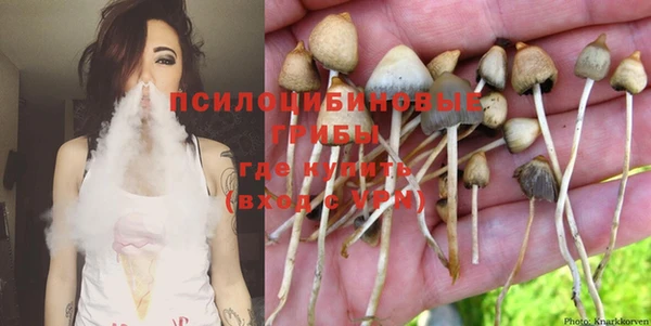 mdpv Куйбышев