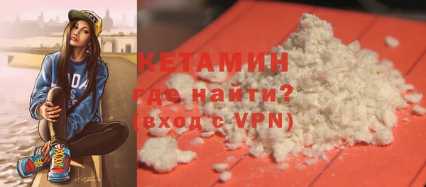 индика Кулебаки